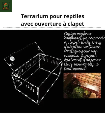 Terrarium en Acrylique Multi-Compartiments 