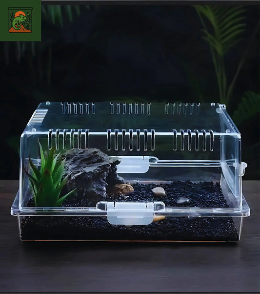 Terrarium en Acrylique Transparent – Facile à Monter 