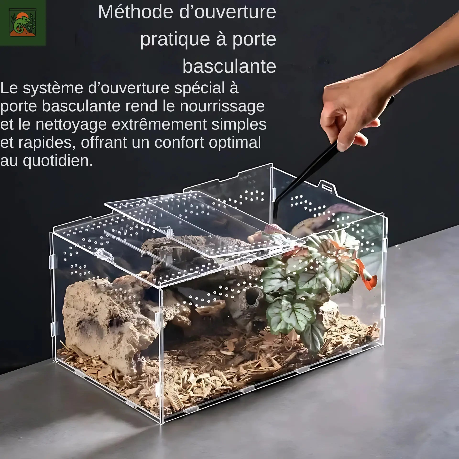 Terrarium en Acrylique Transparent – Mini Habitat pour Reptiles 