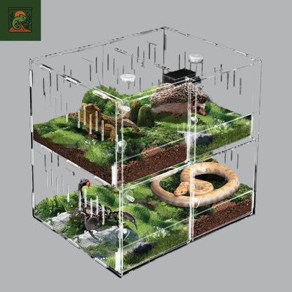 Terrarium en Acrylique Transparent à 4 Compartiments 