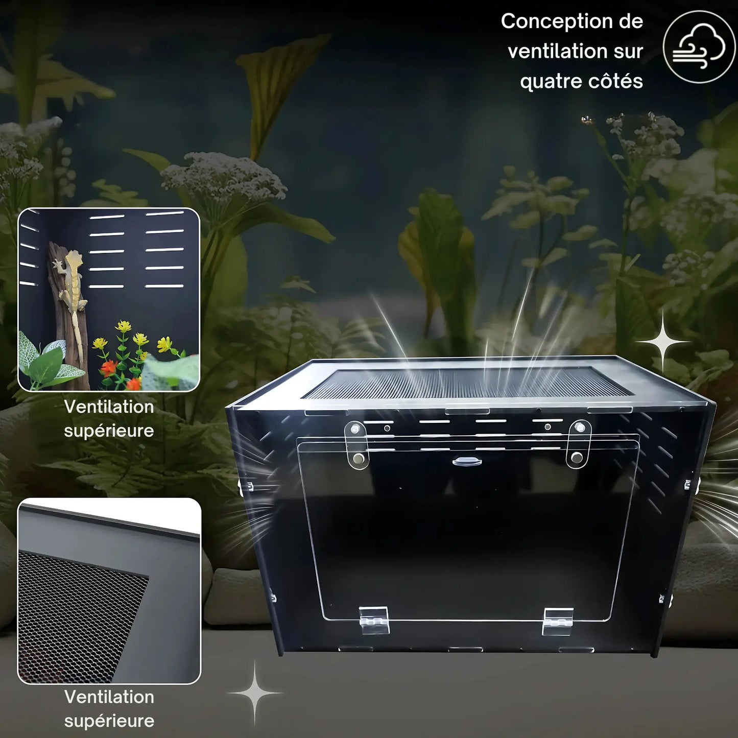 Terrarium en Acrylique et PVC – Enclos Transparent et innovant 