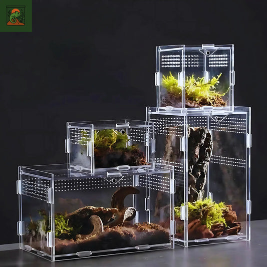 Terrarium en Acrylique pour Reptiles 