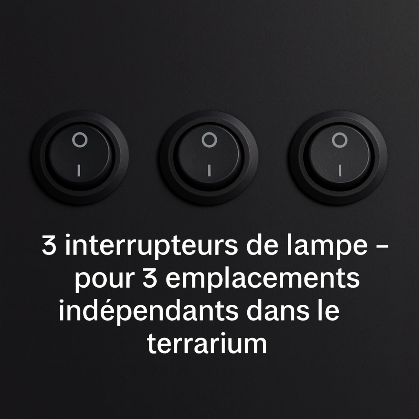 Terrarium en PVC noir 