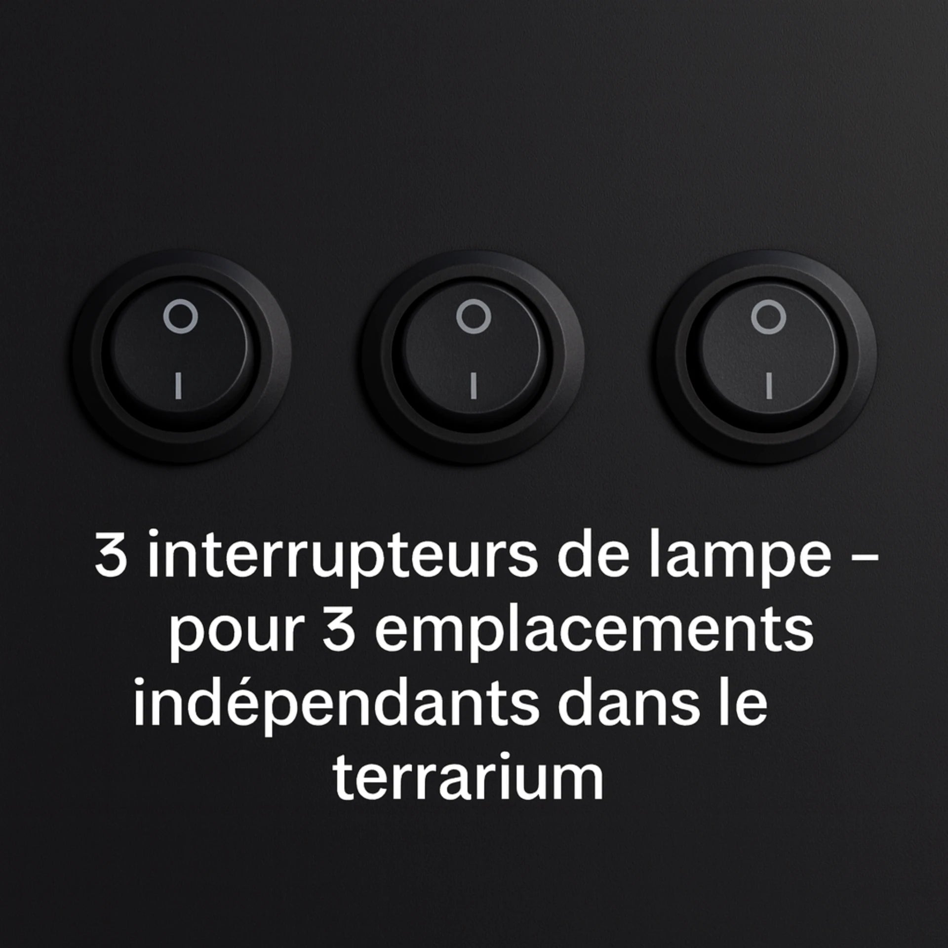 Terrarium en PVC noir 