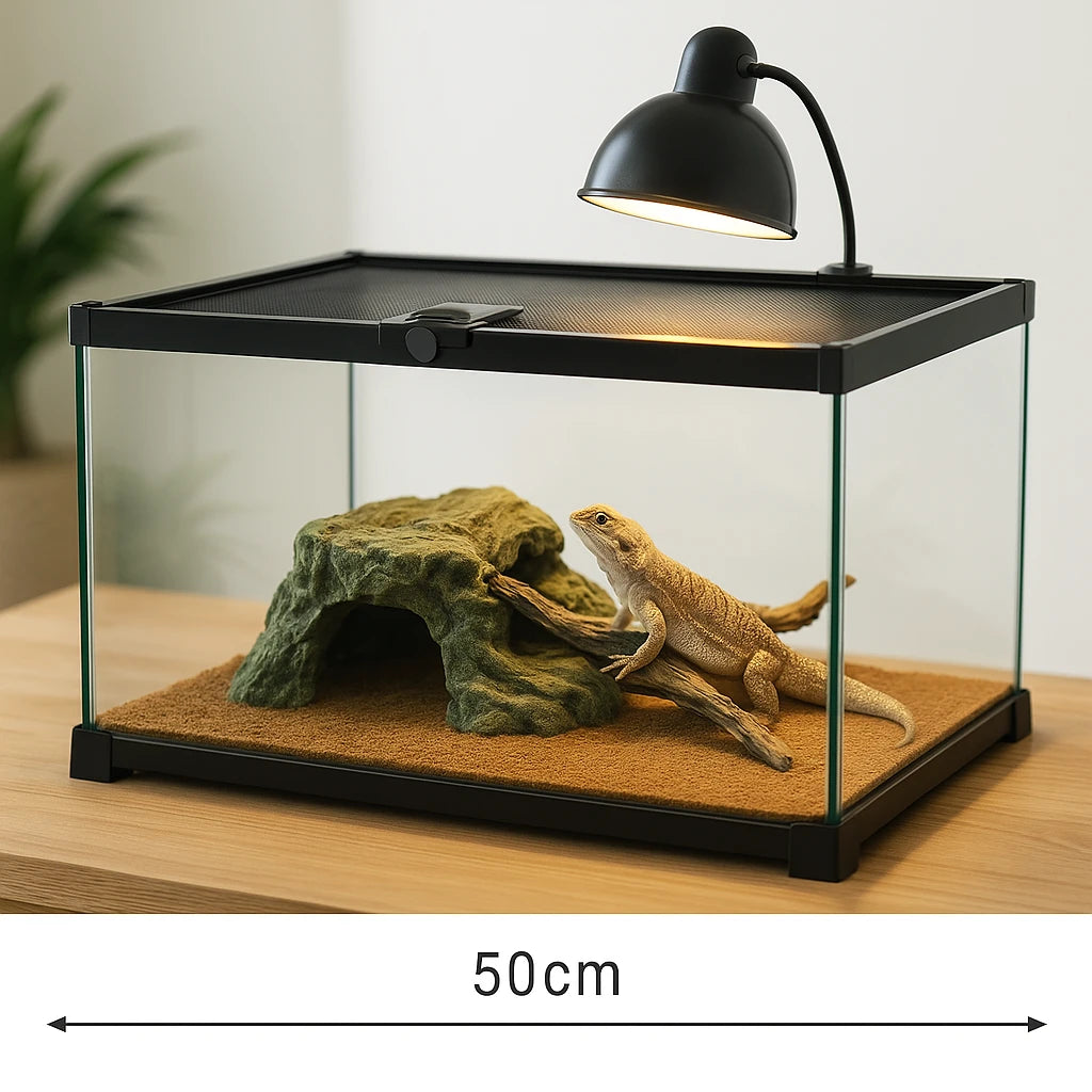 Terrarium en Verre 50×30×25 cm (10 Gallons) 
