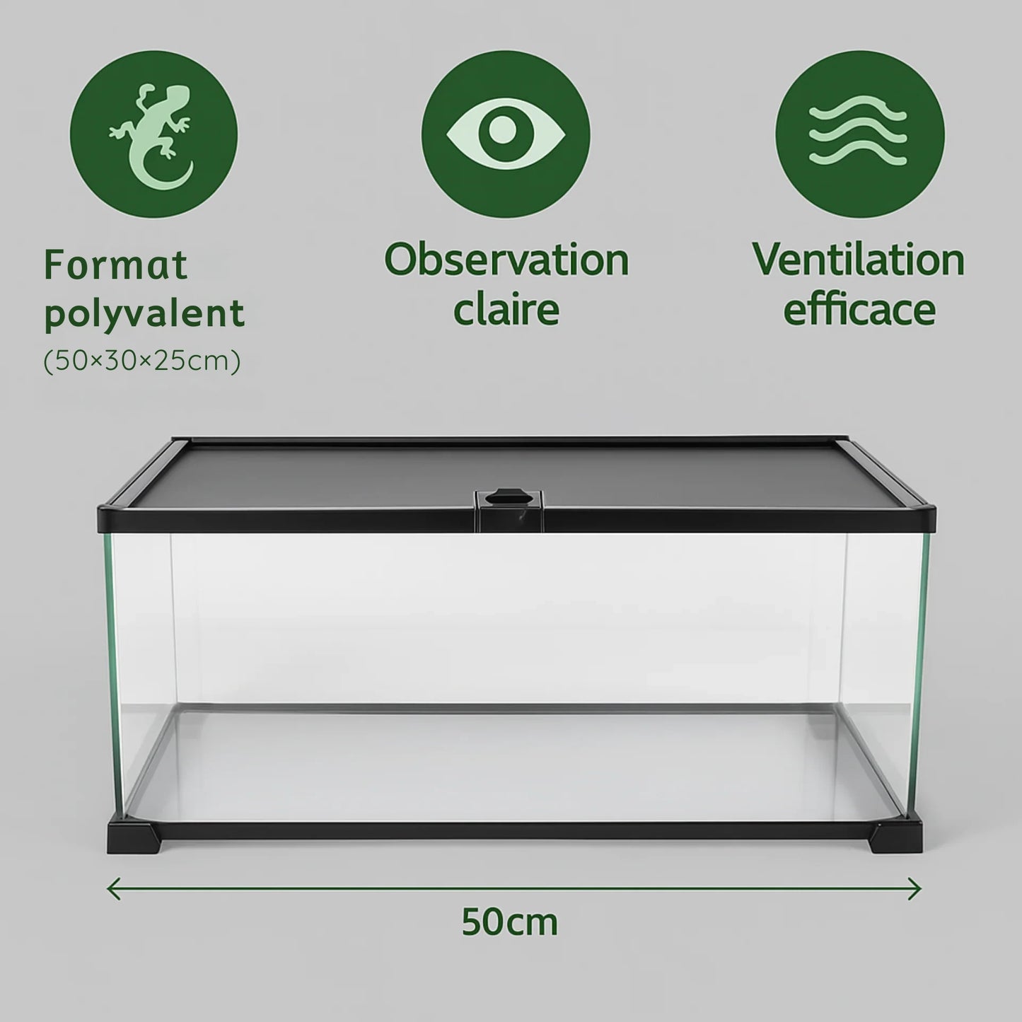 Terrarium en Verre 50×30×25 cm (10 Gallons) 
