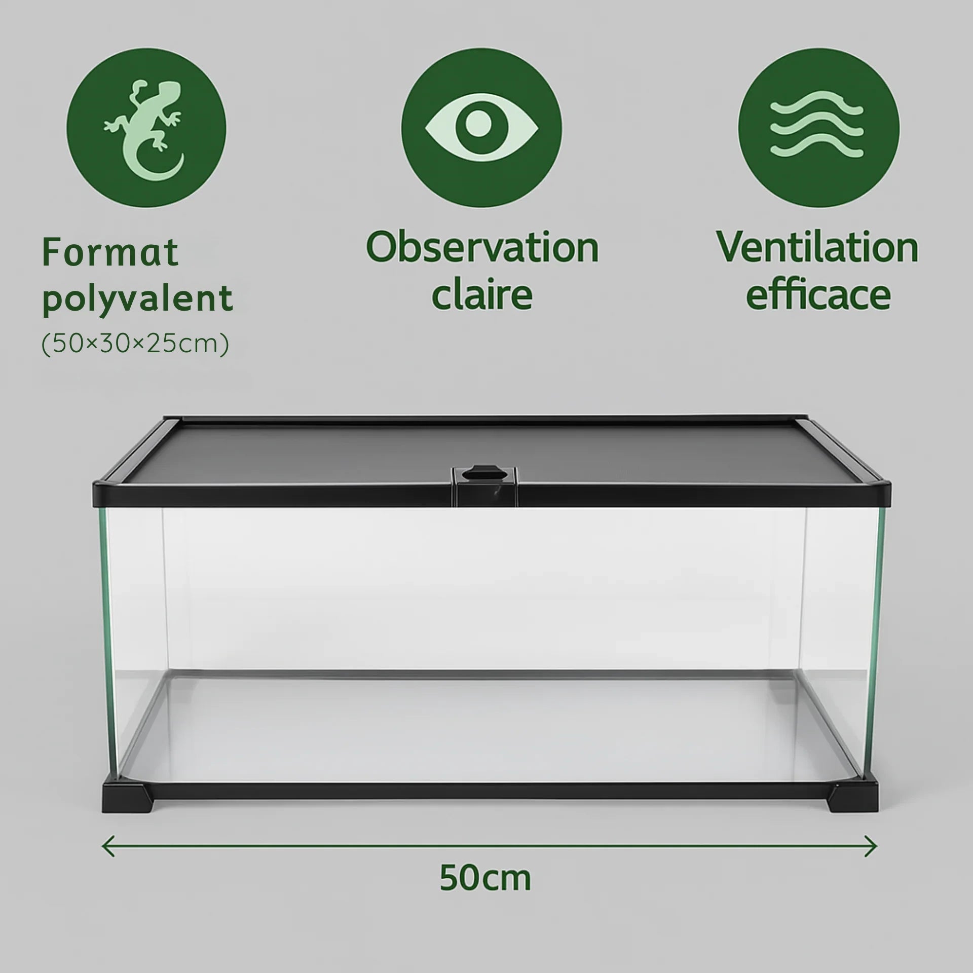 Terrarium en Verre 50×30×25 cm (10 Gallons) 