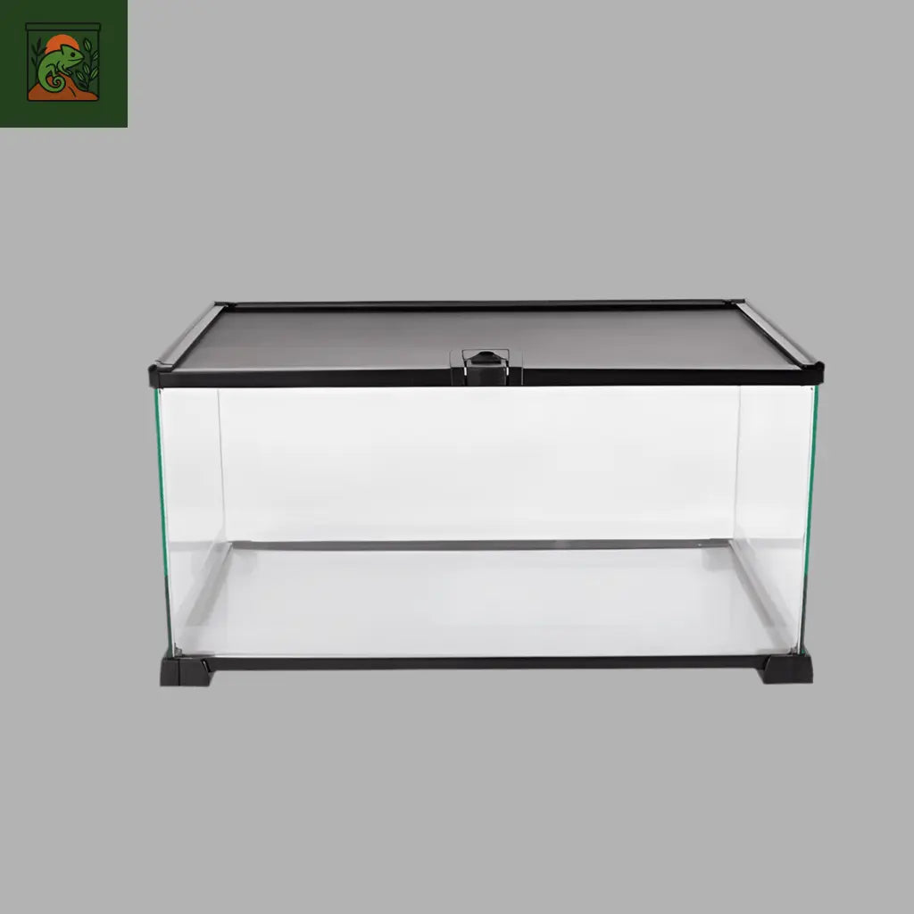 Terrarium En Verre de 50x30x25cm - LeTerrarium