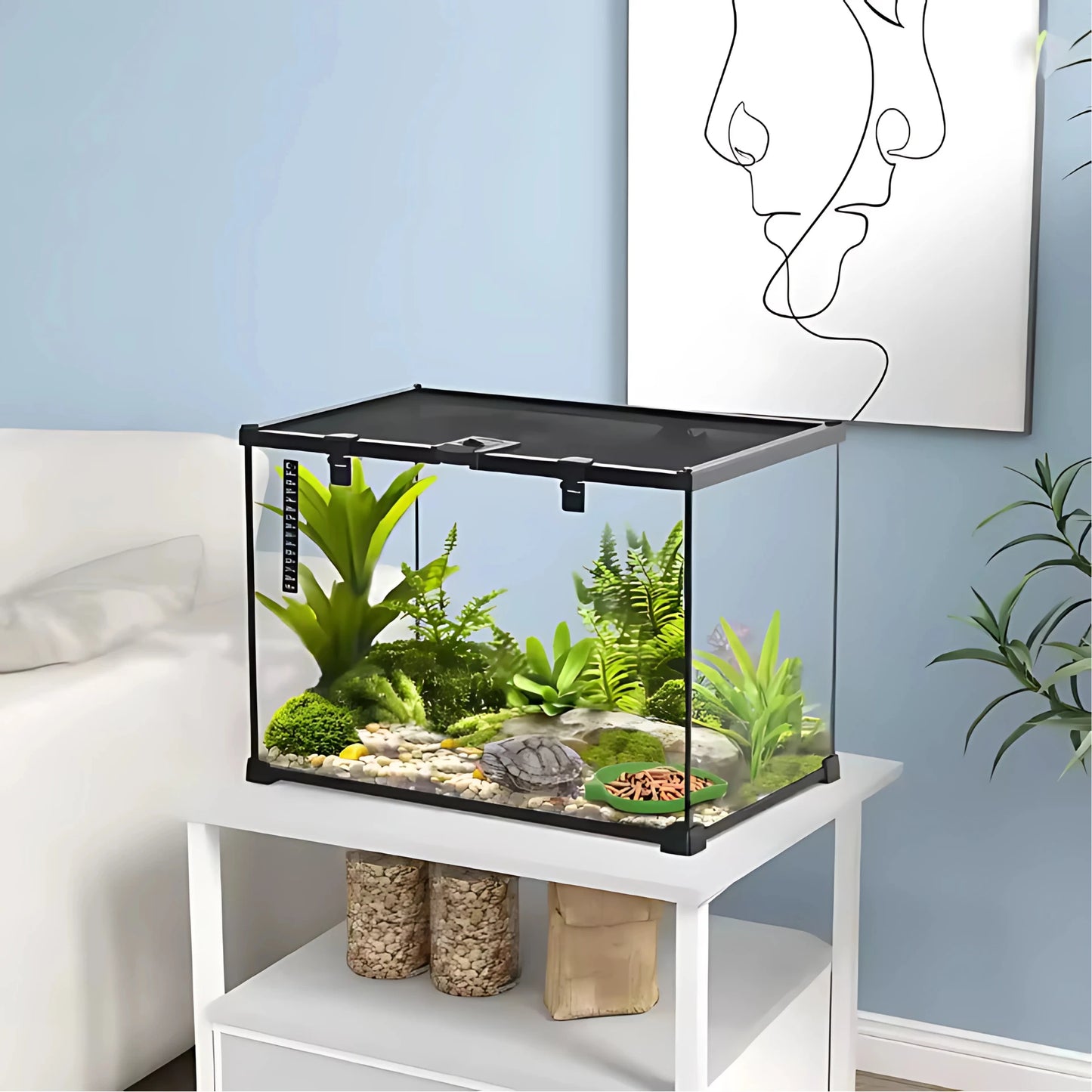 Terrarium en Verre 50x30x35 cm – Vue Panoramique 