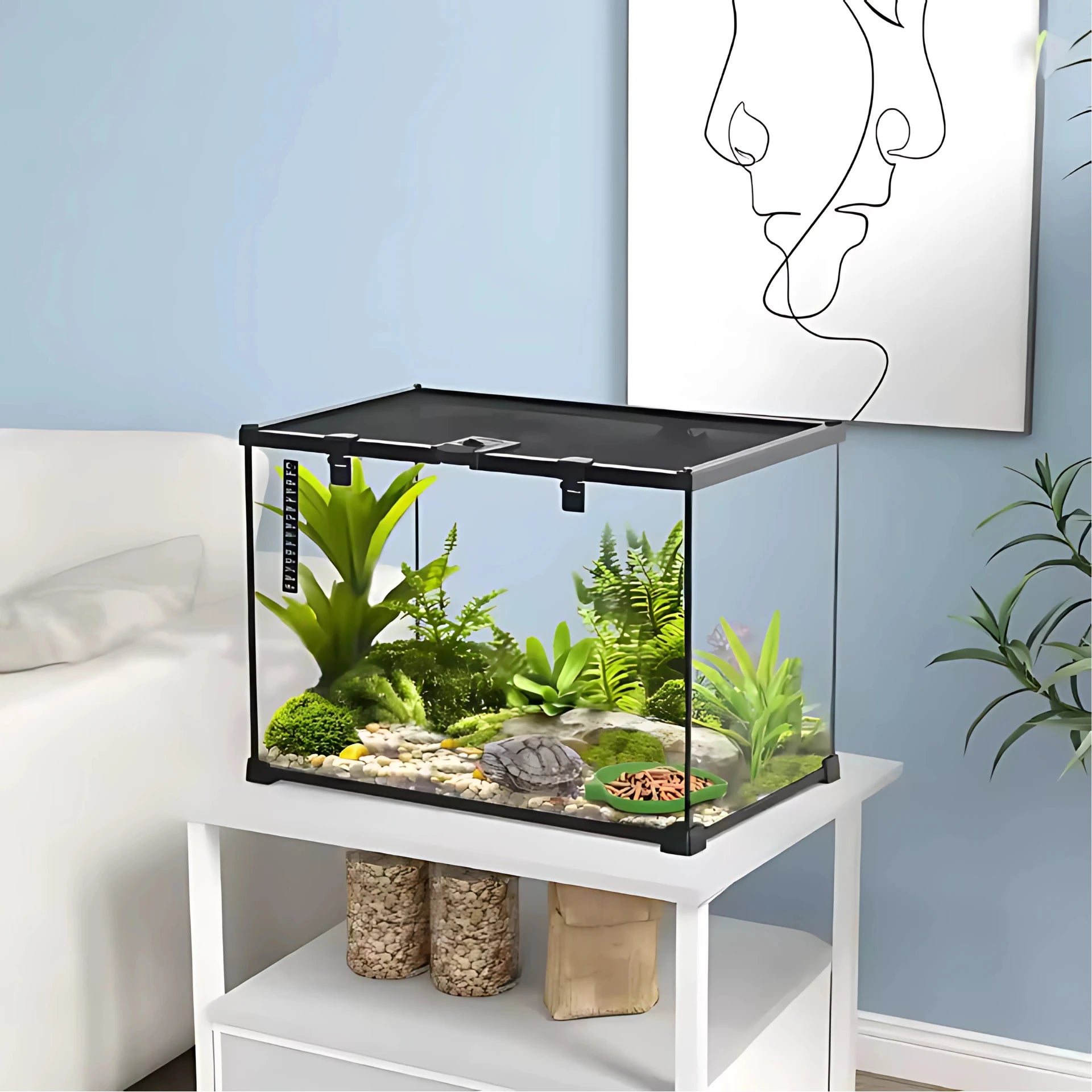 Terrarium en Verre 50x30x35 cm – Vue Panoramique 