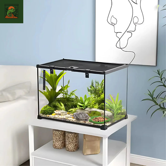 Terrarium en Verre 50x30x35 cm – Vue Panoramique 