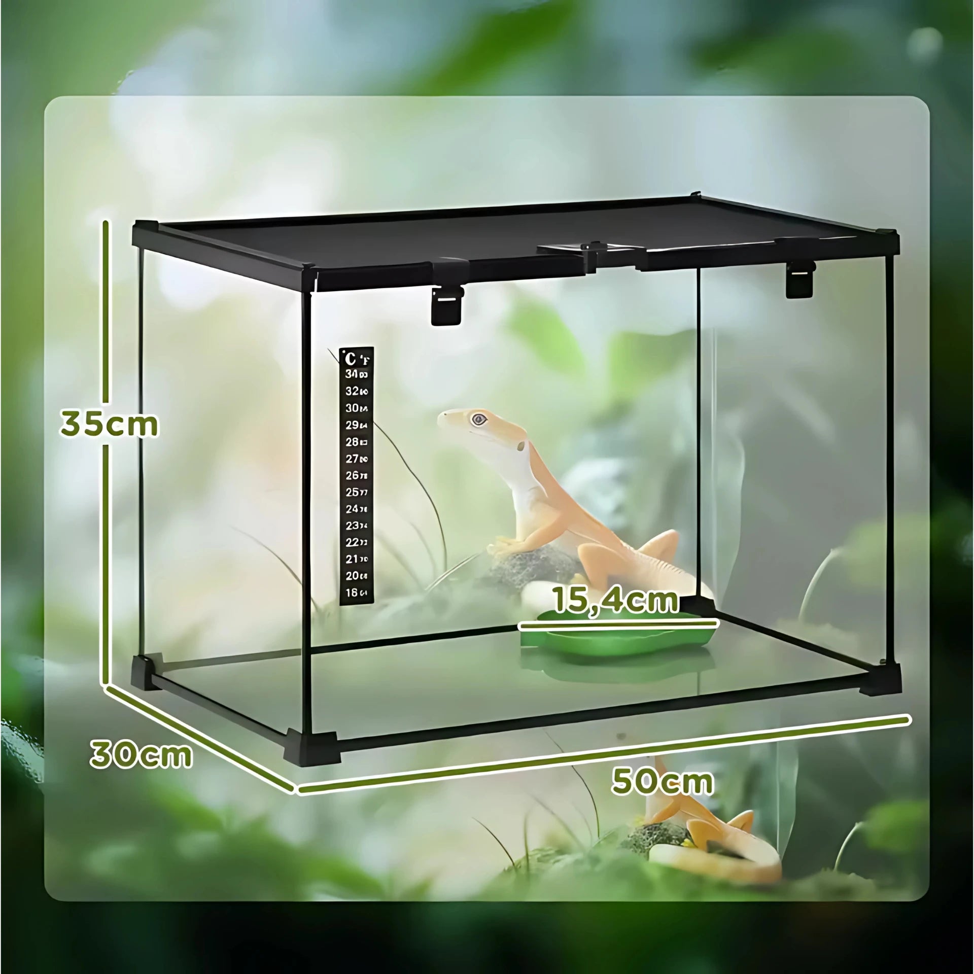 Terrarium en Verre 50x30x35 cm – Vue Panoramique 