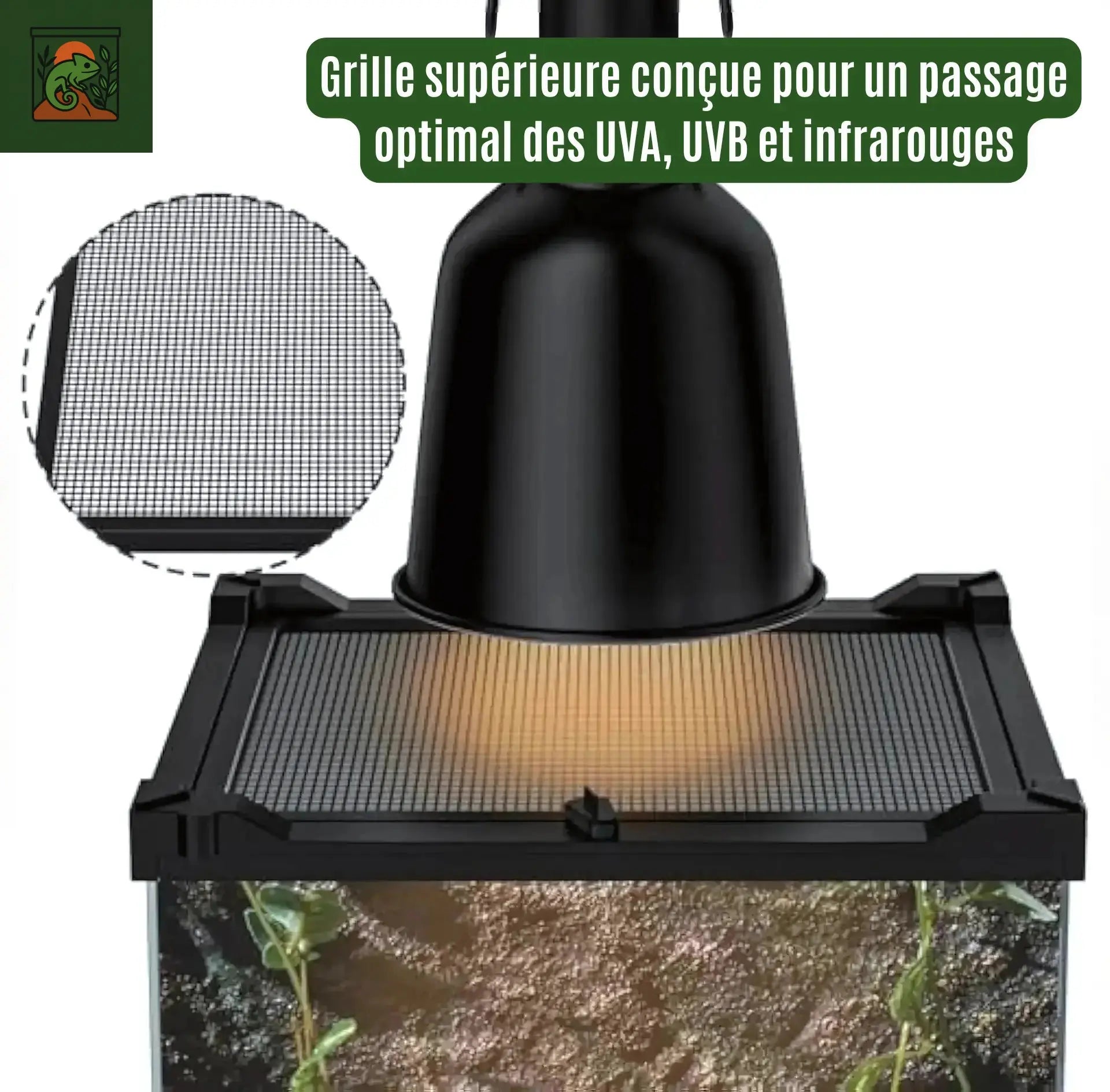 Terrarium en Verre Compact a Haute Transparence 