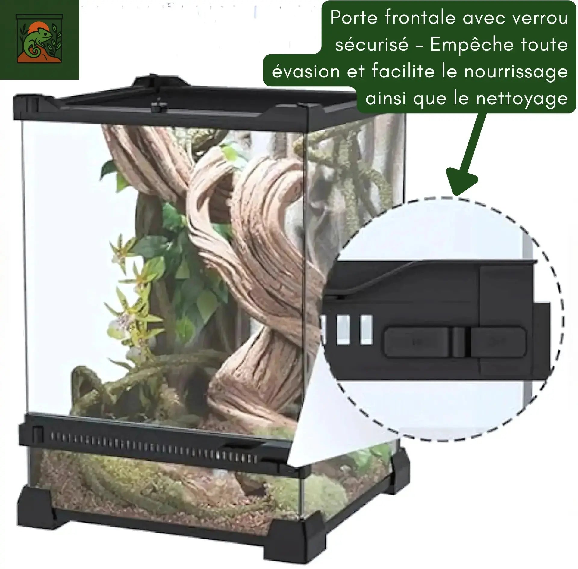 Terrarium en Verre Compact a Haute Transparence 