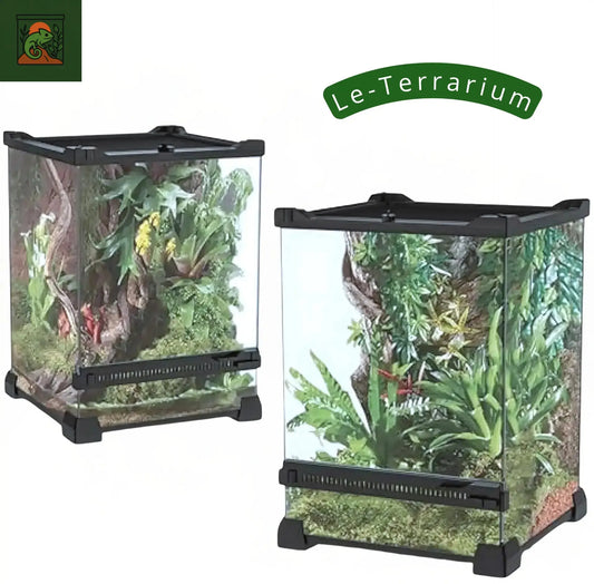 Terrarium en Verre Compact a Haute Transparence 