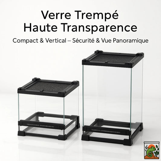 Terrarium en Verre Compact a Haute Transparence 