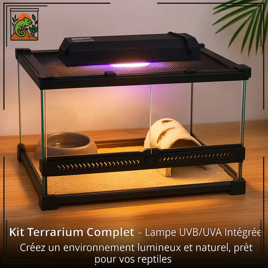 Terrarium en Verre avec Lampe UVA/UVB 