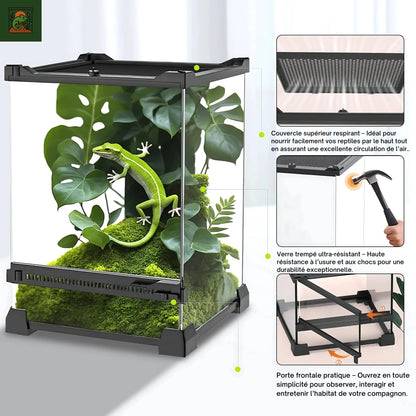 Terrarium en Verre avec vue Panoramique 360° 