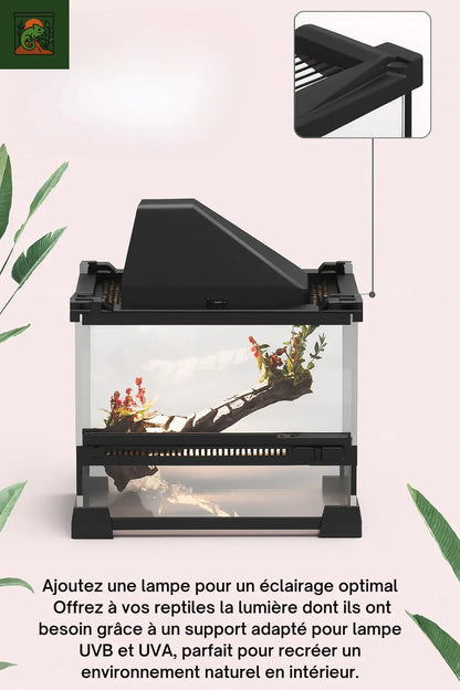 Terrarium en Verre avec vue Panoramique 360° 
