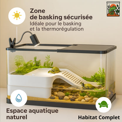 Terrarium en acrylique aménagé 