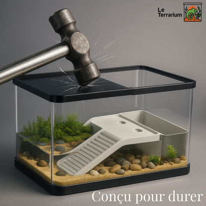 Terrarium en acrylique aménagé 