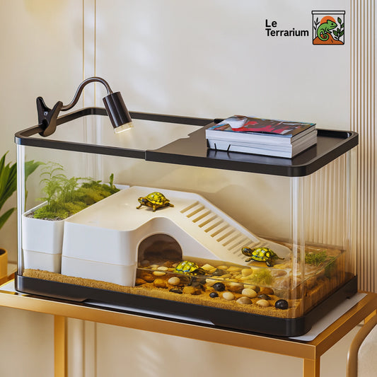Terrarium en acrylique aménagé 