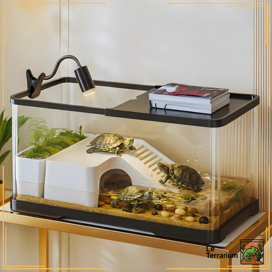 Terrarium en acrylique aménagé 