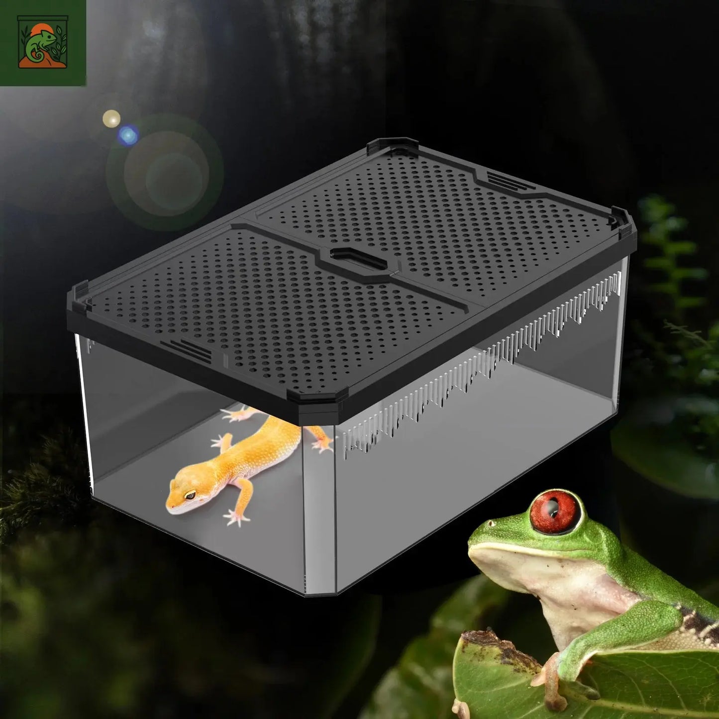 Boîte d'élevage magnétique pour reptile à couvercle coulissant, adaptée aux lézards, grovos, grenouilles à cornes, serpents et araignées 