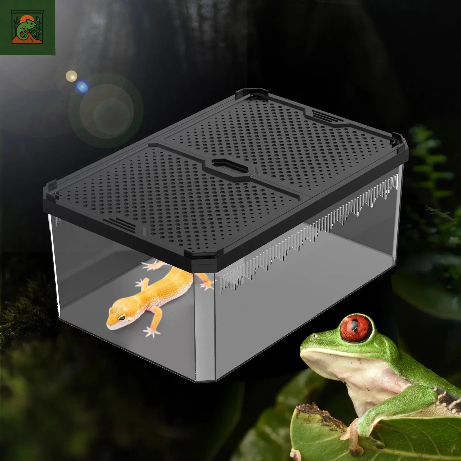 Boîte d'élevage magnétique pour reptile à couvercle coulissant, adaptée aux lézards, grovos, grenouilles à cornes, serpents et araignées 