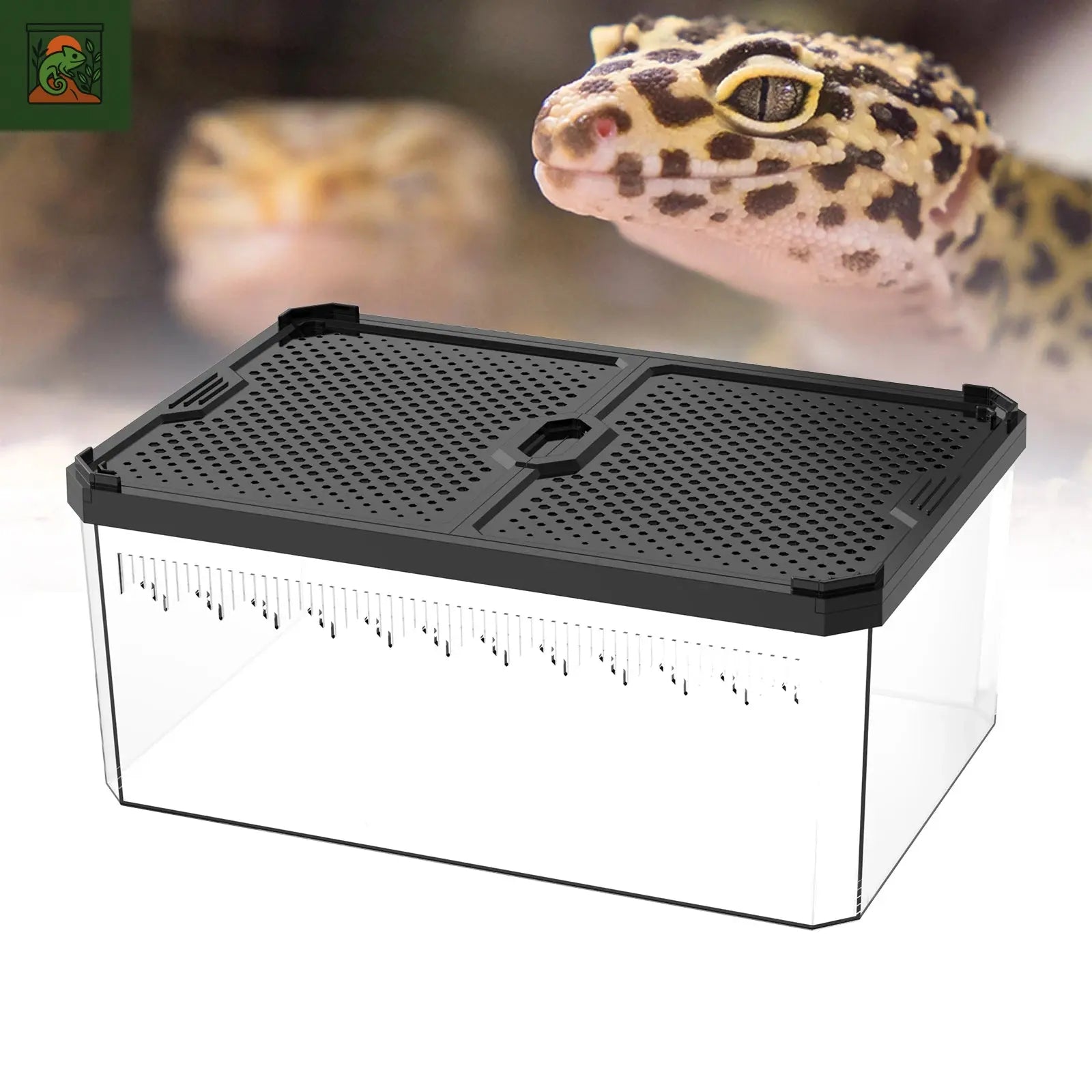 Boîte d'élevage magnétique pour reptile à couvercle coulissant, adaptée aux lézards, grovos, grenouilles à cornes, serpents et araignées 