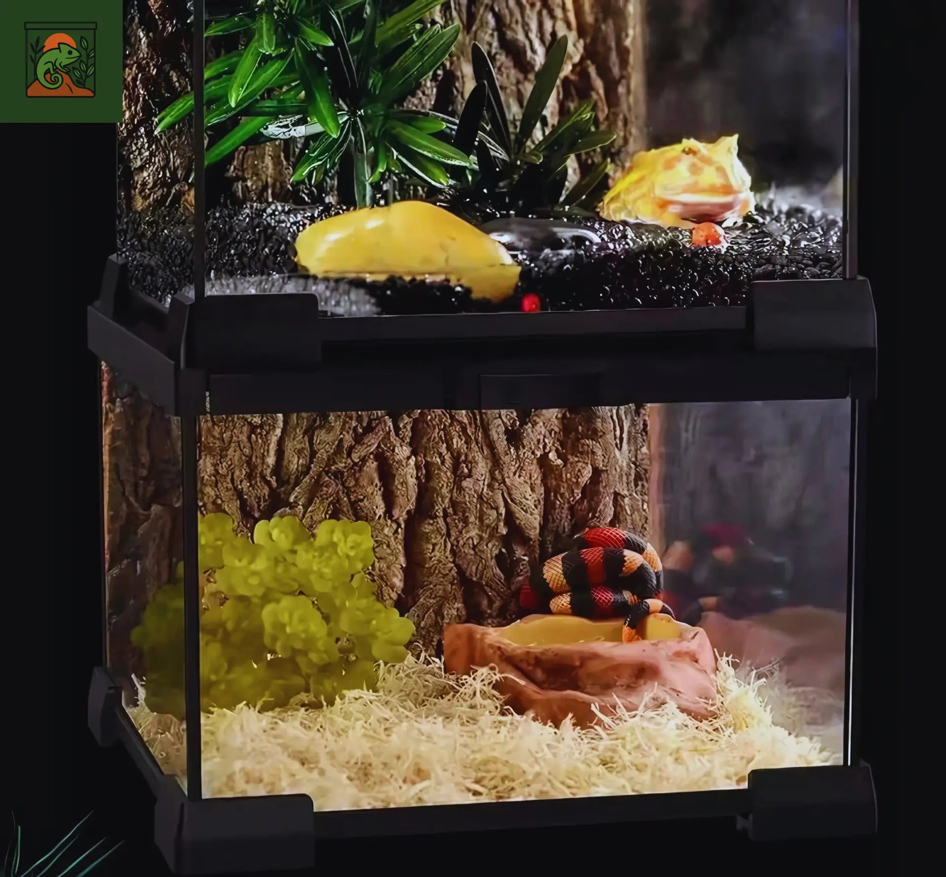 Terrarium en verre pour Reptiles et Amphibiens 