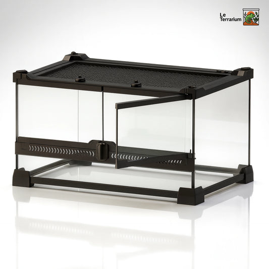 Terrarium en verre transparent 