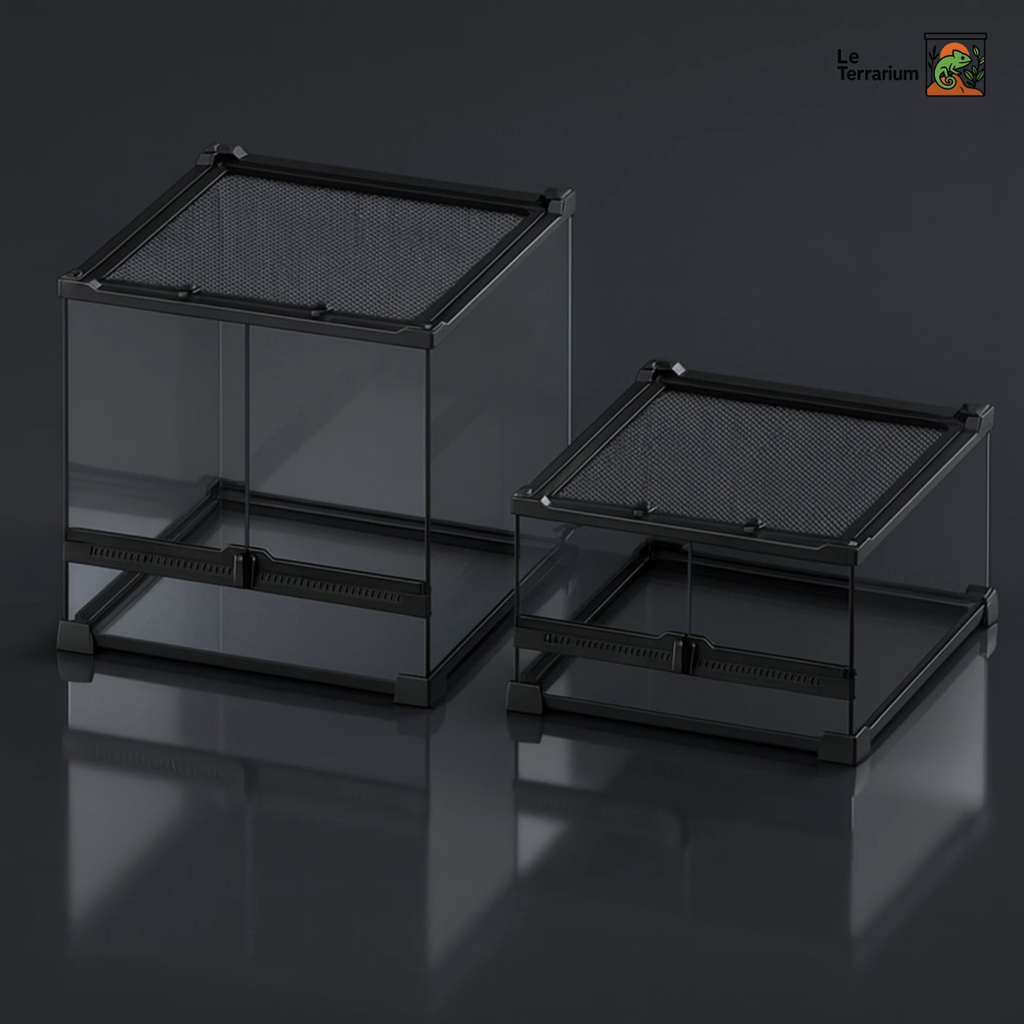 Terrarium en verre transparent 