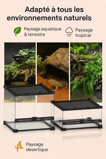 Terrarium en verre transparent 