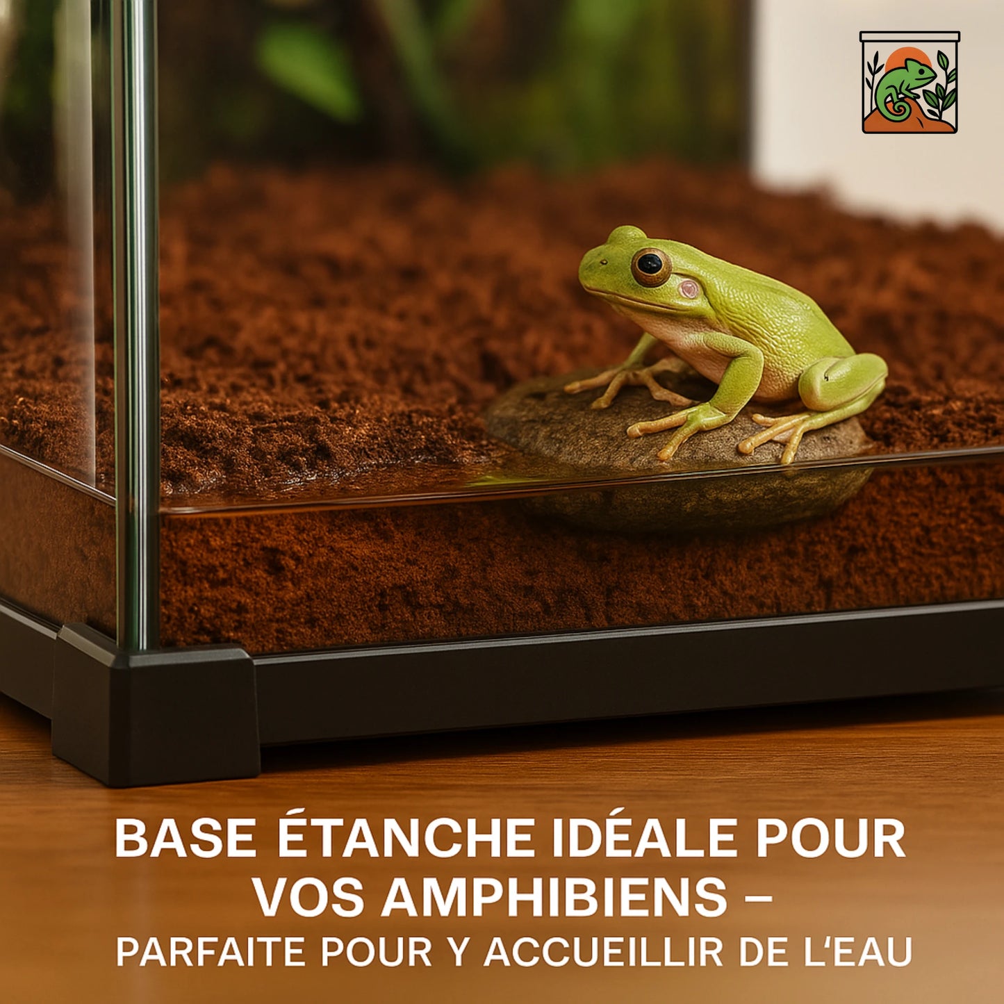 Terrarium en Verre Trempé Haute Transparence 