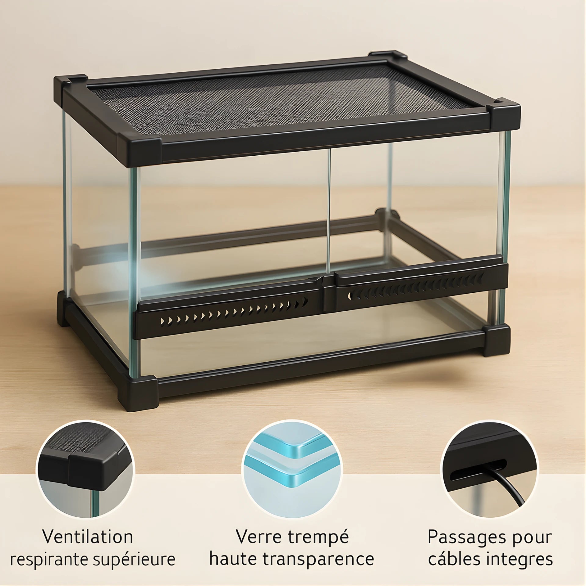 Terrarium en verre transparent 