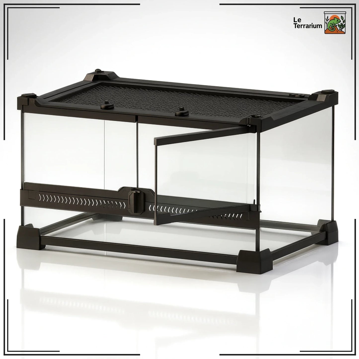 Terrarium en verre transparent 