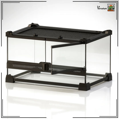 Terrarium en verre transparent 