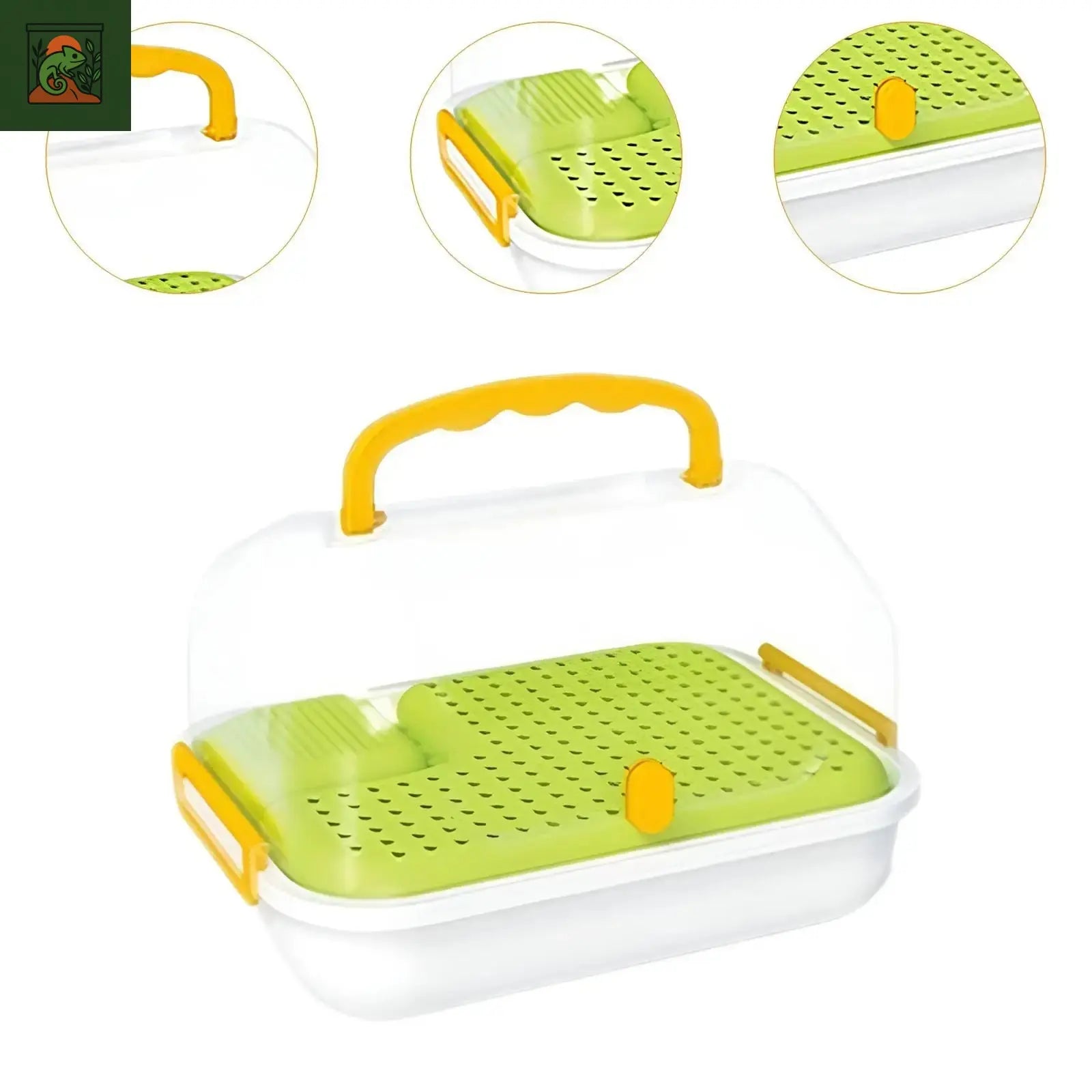 Terrarium multifonctions pour tortues et amphibiens, étui pour tortues, papillons escargots, grenouilles à cornes, vers à soie 
