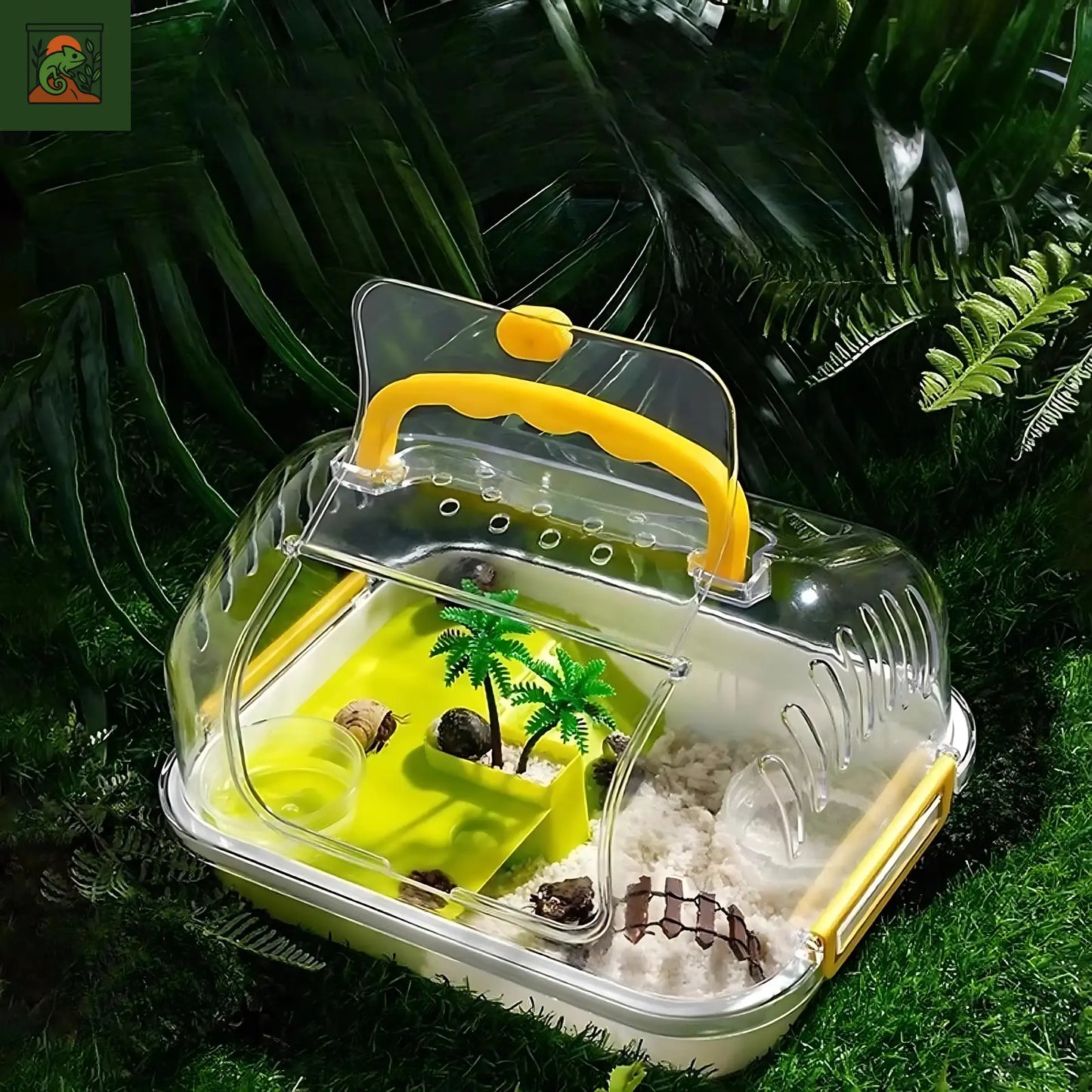 Terrarium multifonctions en acrylique pour tortues 