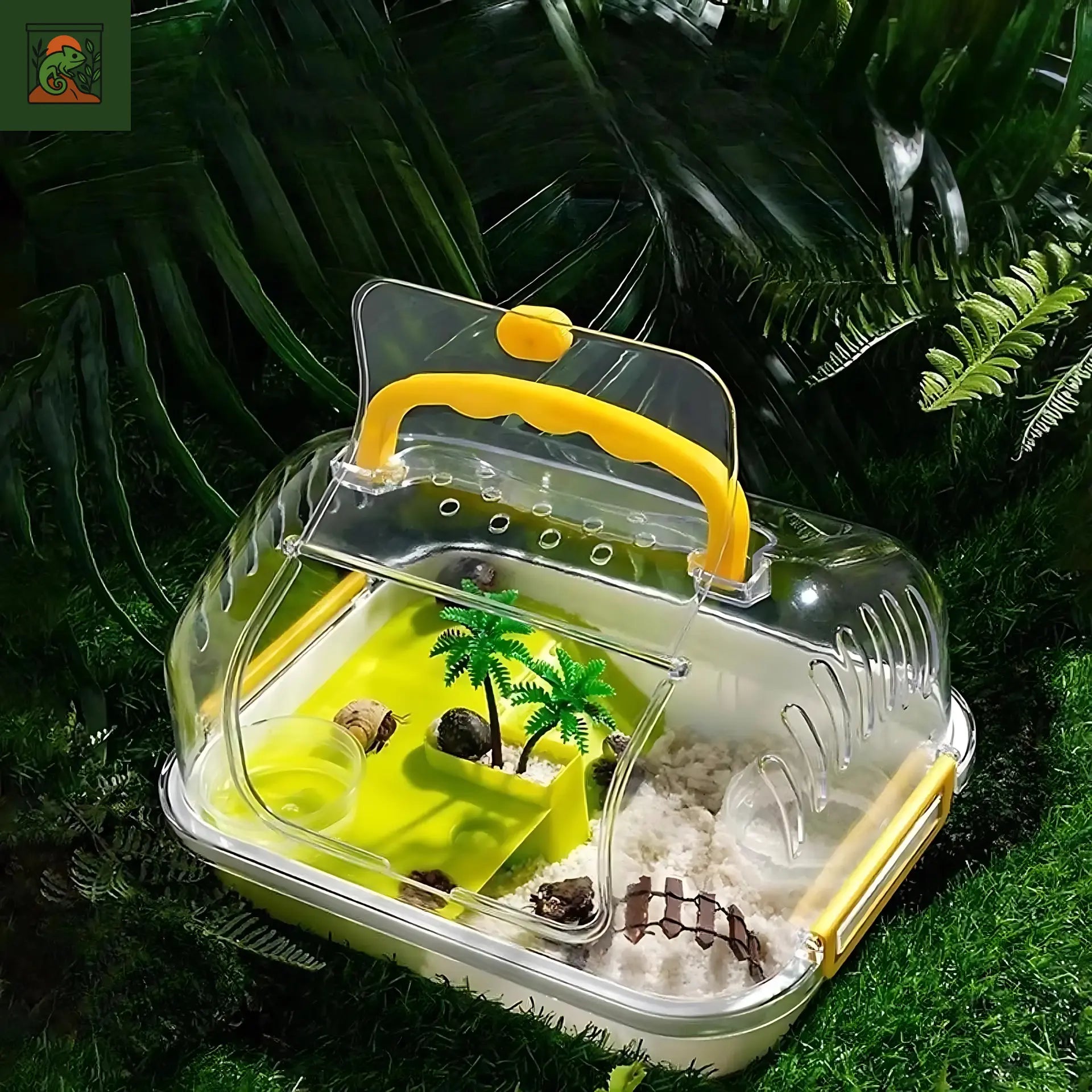 Terrarium multifonctions en acrylique pour tortues 