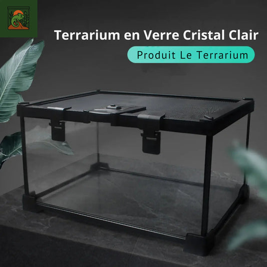 Boîte d'élevage de Reptiles en verre trempé, Cage d'alimentation pour lézards, amphibiens, Terrariums écologiques, chenil à tortues, accessoires pour Reptiles