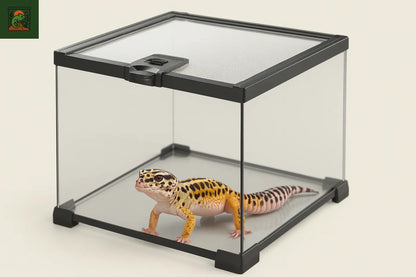 Terrarium pour Reptiles et Amphibiens 
