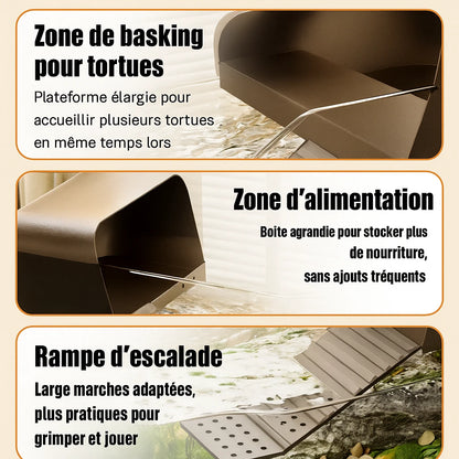 Terrarium pour Tortue – Vivarium Amphibie Transparent 