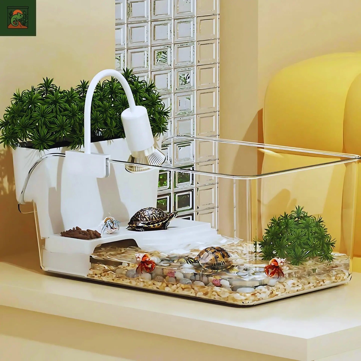 Terrarium pour Tortues & Amphibiens – Mini Réservoir Écologique 