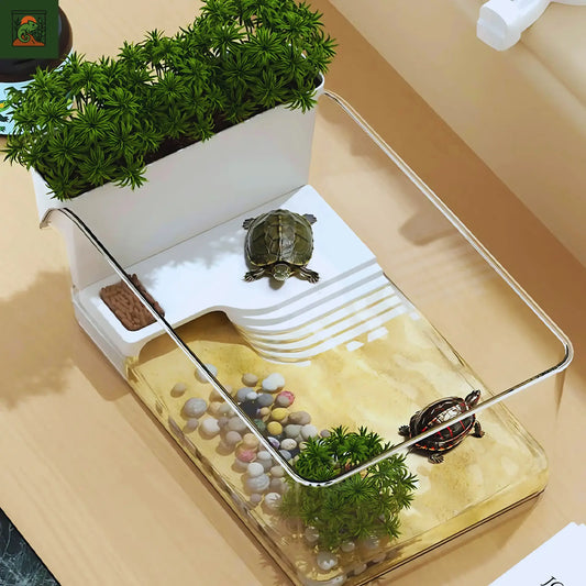 Terrarium pour Tortues & Amphibiens – Mini Réservoir Écologique 