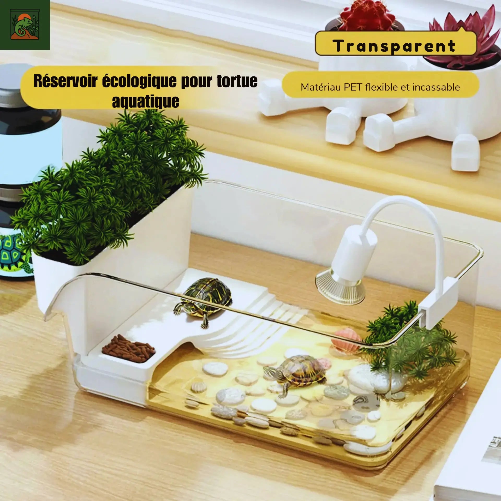Terrarium pour Tortues & Amphibiens – Mini Réservoir Écologique 