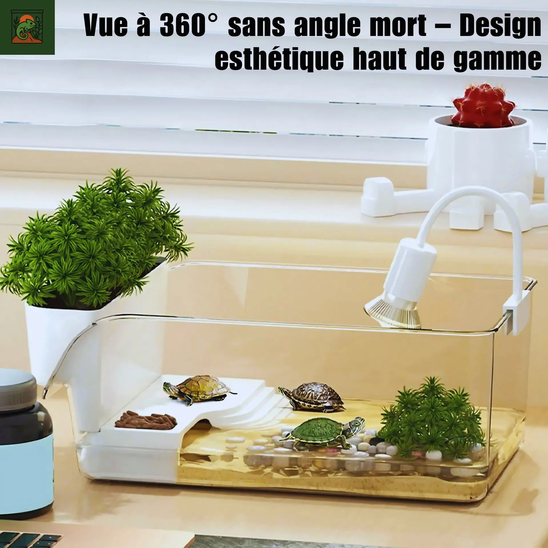 Terrarium pour Tortues & Amphibiens – Mini Réservoir Écologique 