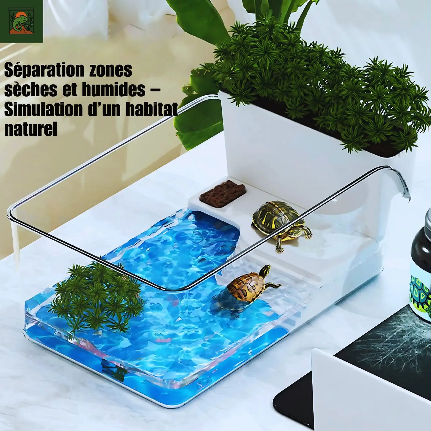 Terrarium pour Tortues & Amphibiens – Mini Réservoir Écologique 