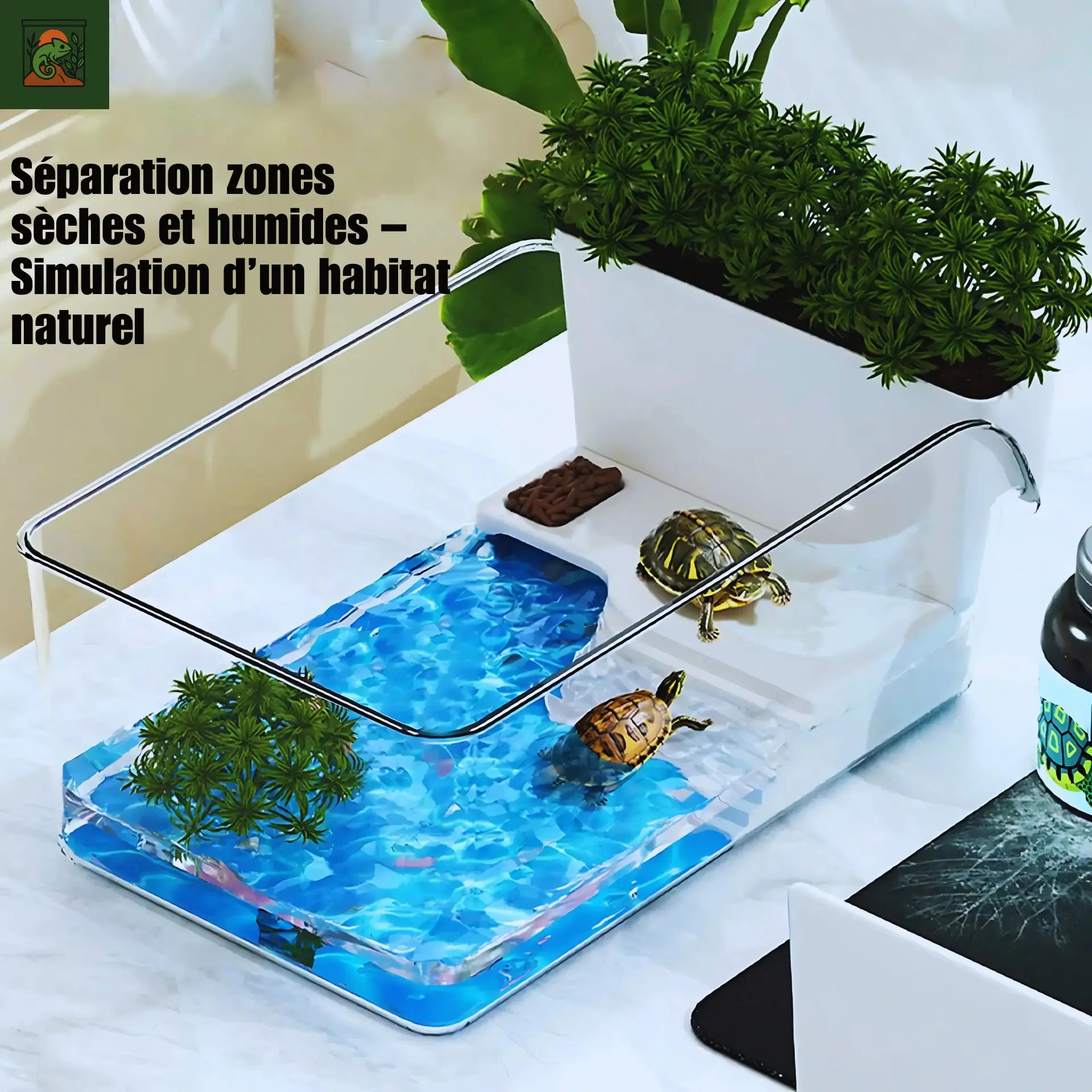 Terrarium pour Tortues & Amphibiens – Mini Réservoir Écologique 